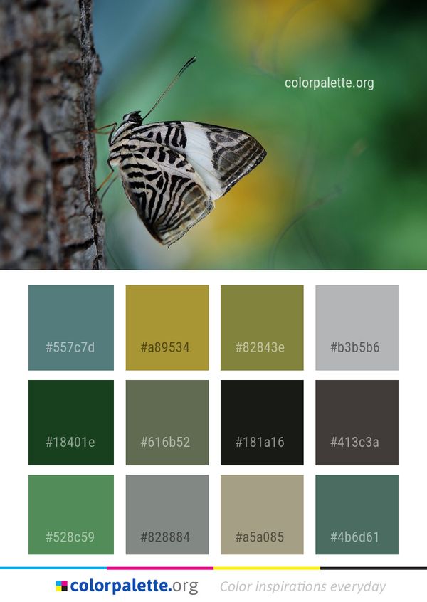 Butterfly Insect Moths And Butterflies Color Palette