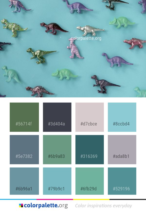 Fauna Organism Marine Biology Color Palette
