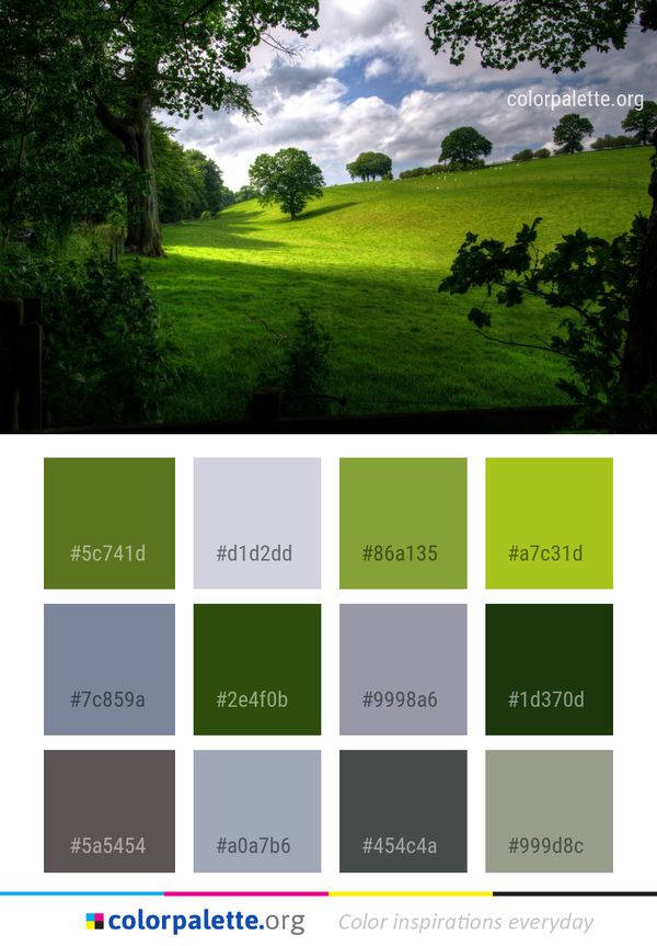 Nature Grassland Green Color Palette