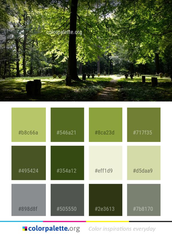 Nature Green Tree Color Palette