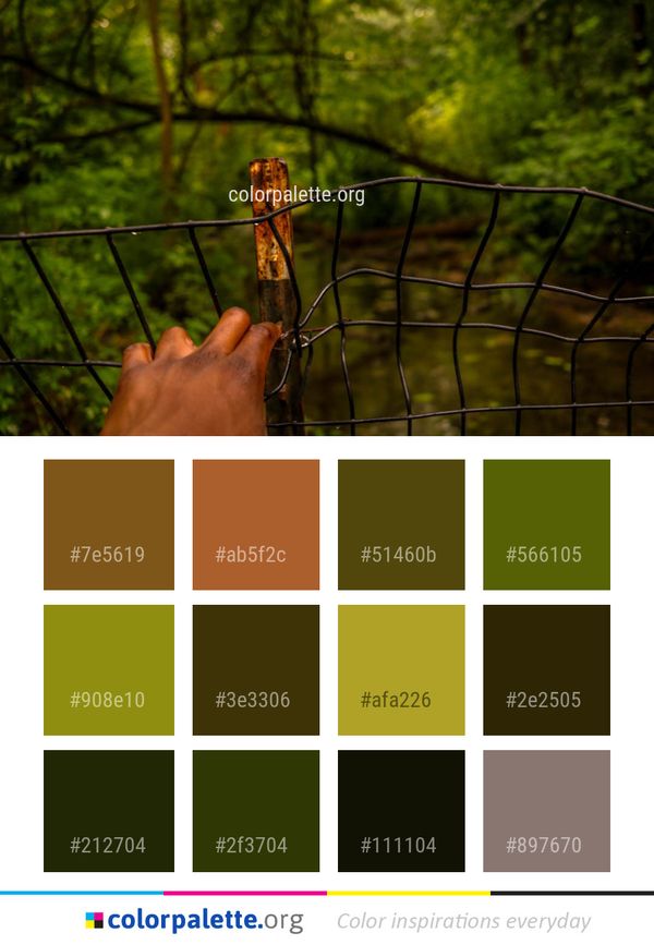 Nature Tree Plant Color Palette