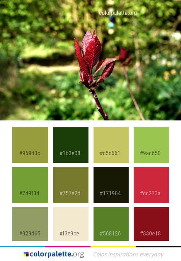 Plant Flora Vegetation Color Palette