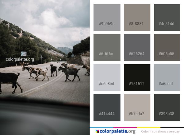 Road Sky Infrastructure Color Palette
