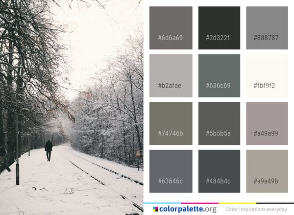 Snow Winter Tree Color Palette
