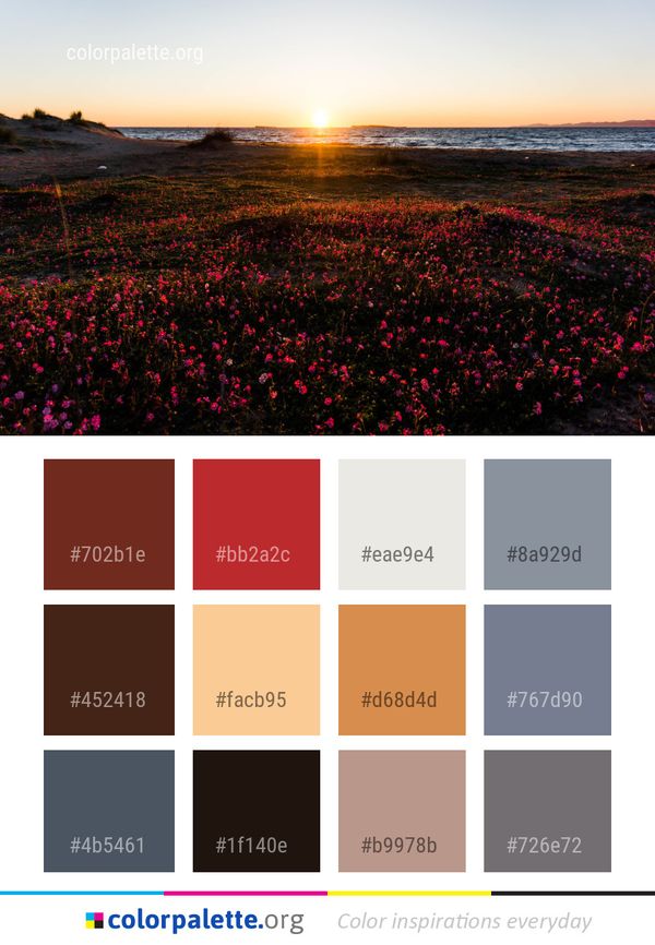 Sunrise Sky Shore Color Palette