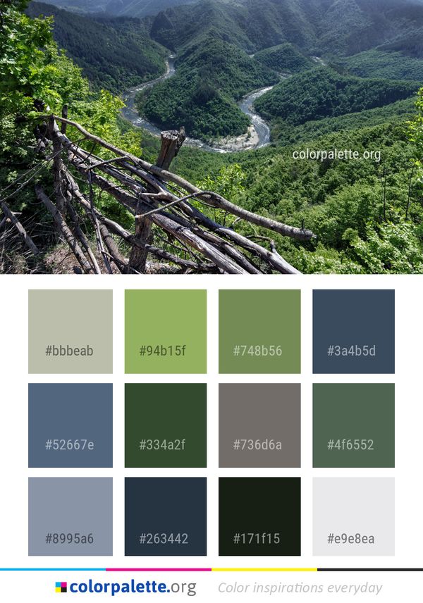 Vegetation Nature Reserve Wilderness Color Palette