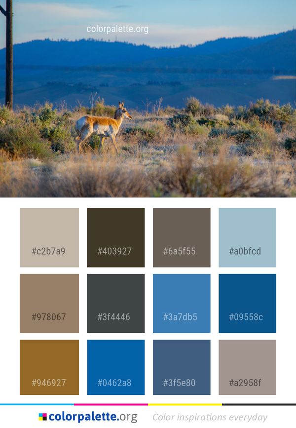 Wildlife Ecosystem Wilderness Color Palette