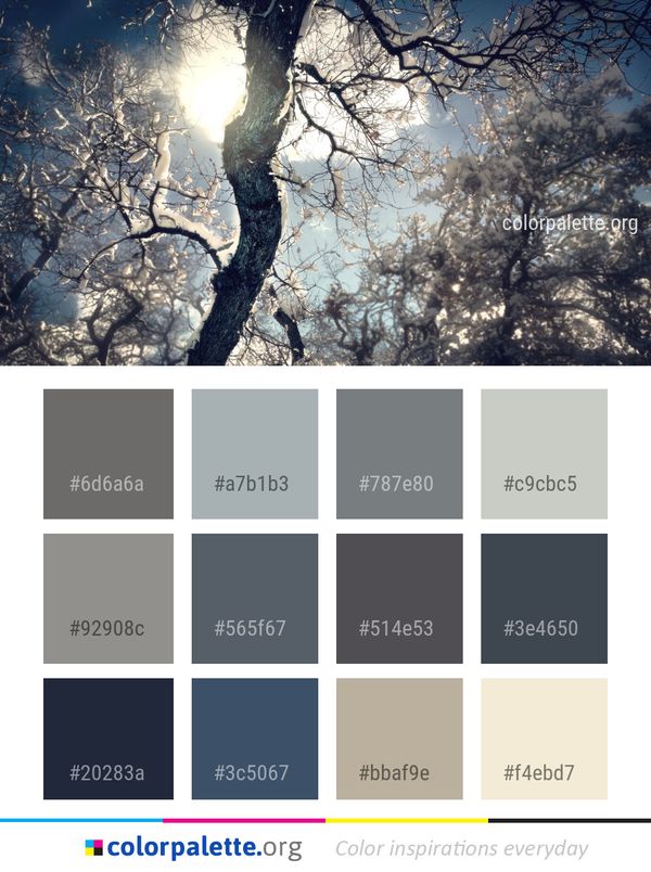 Branch Sky Tree Color Palette