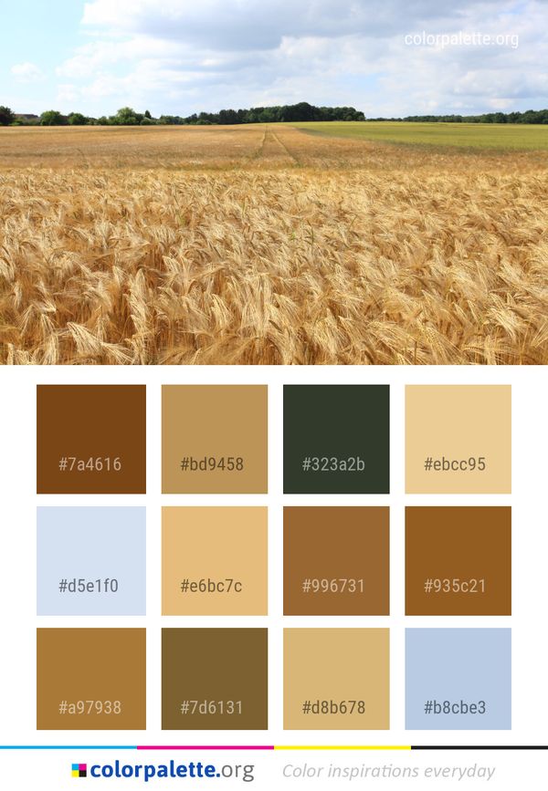 Crop Field Wheat Color Palette