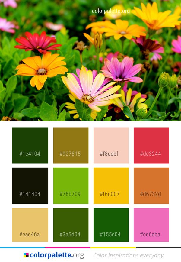 Flower Plant Yellow Color Palette