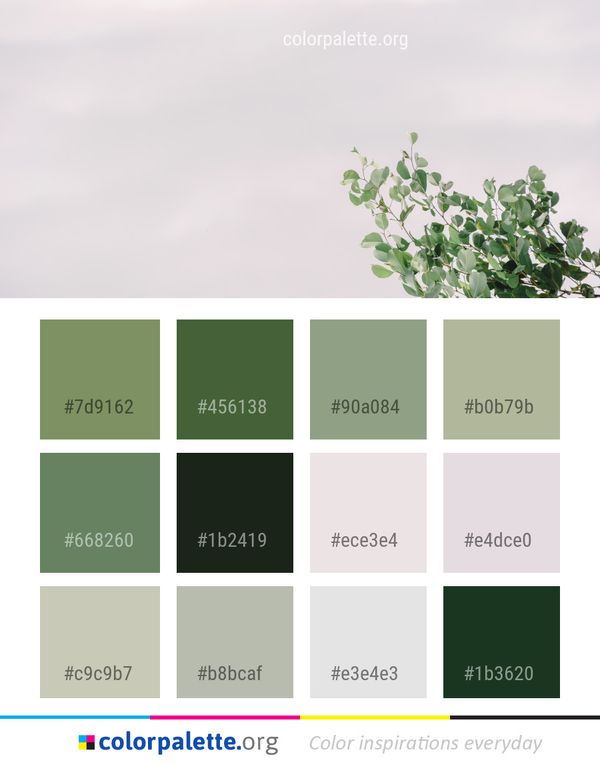 Green Leaf Sky Color Palette