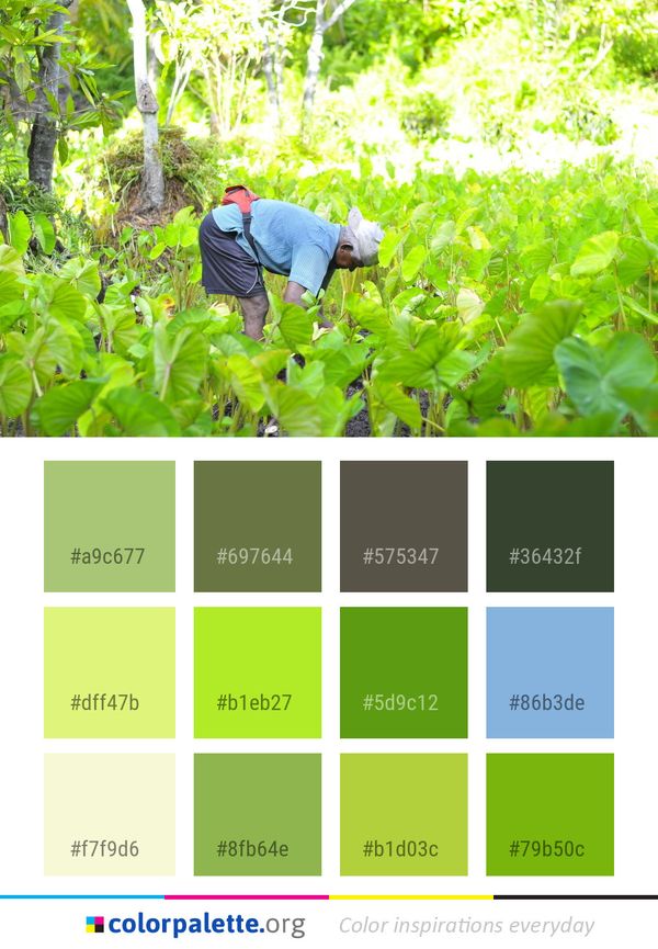 Green Plant Tree Color Palette