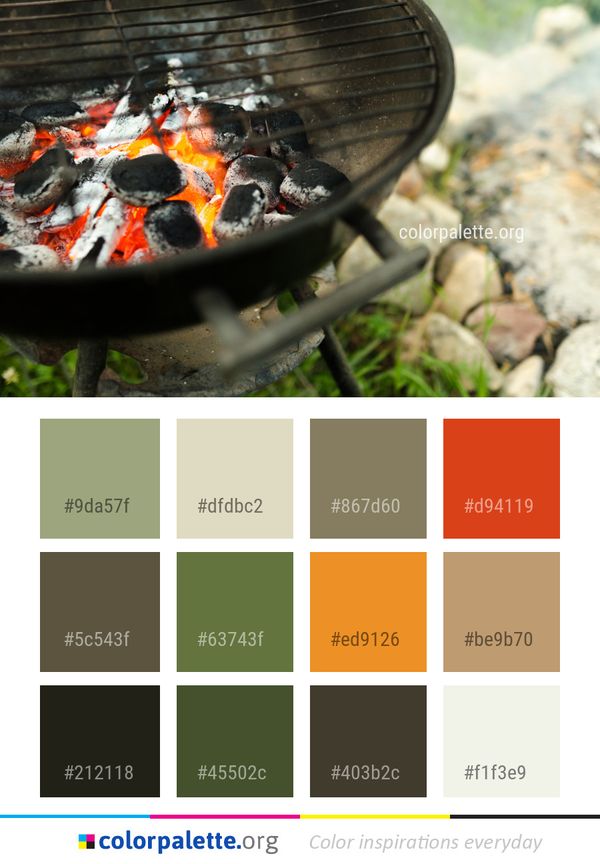 Grilling Barbecue Outdoor Grill Color Palette