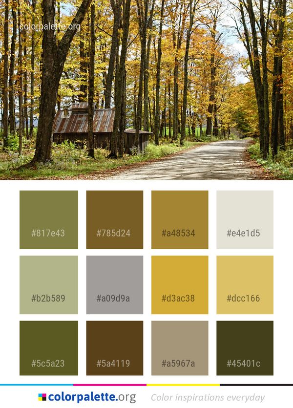 Nature Tree Leaf Color Palette