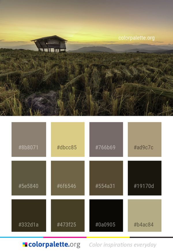 Sky Field Morning Color Palette