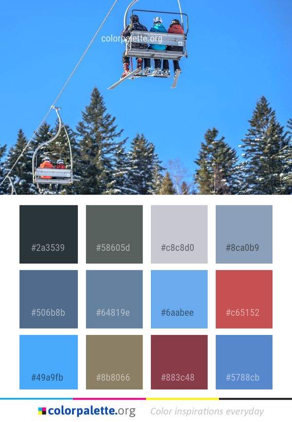 Tree Winter Sky Color Palette