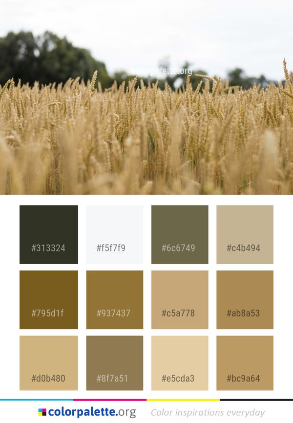 Field Crop Food Grain Color Palette