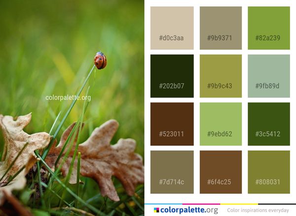 Flora Leaf Grass Color Palette