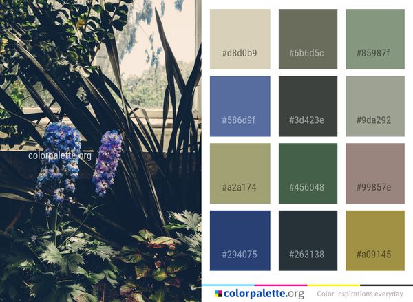 Flower Flora Plant Color Palette