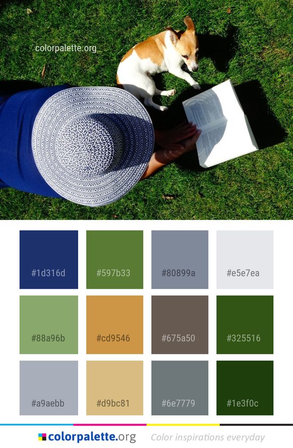 Grass Dog Like Mammal Color Palette