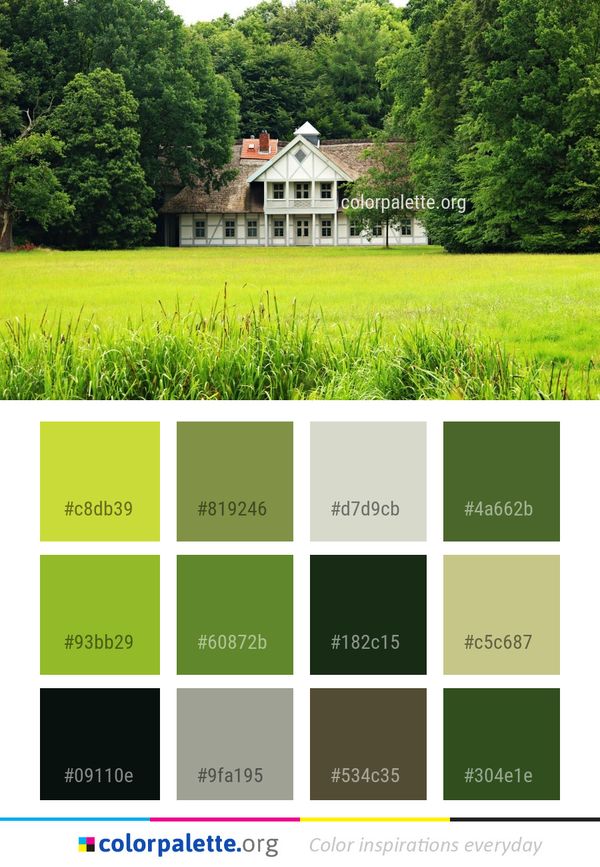 Nature Grassland Estate Color Palette
