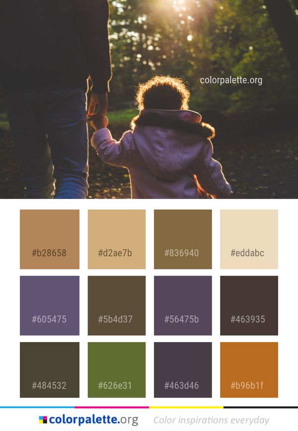 Nature Light Sunlight Color Palette