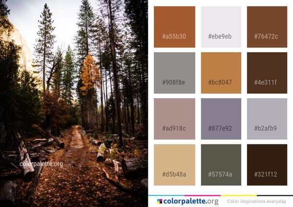 Nature Path Wilderness Color Palette