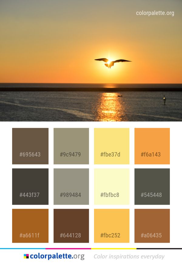 Sky Sea Horizon Color Palette