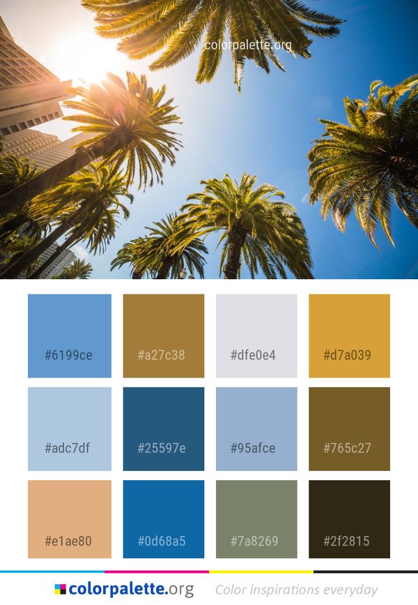 Sky Tree Palm Color Palette