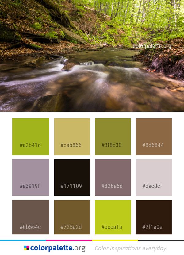 Stream Water Nature Color Palette