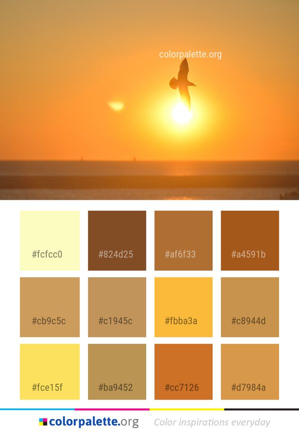 Sun Sunrise Sky Color Palette
