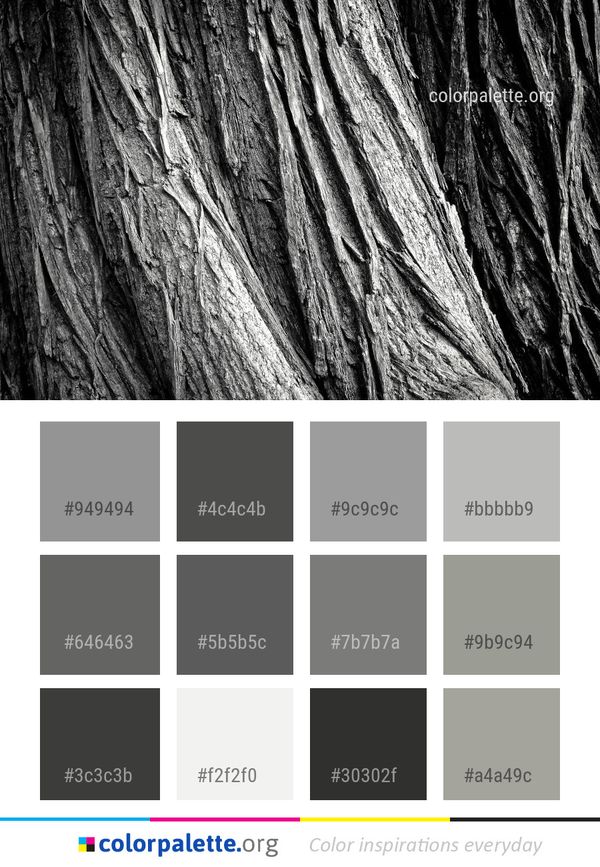 Tree Black And White Color Palette