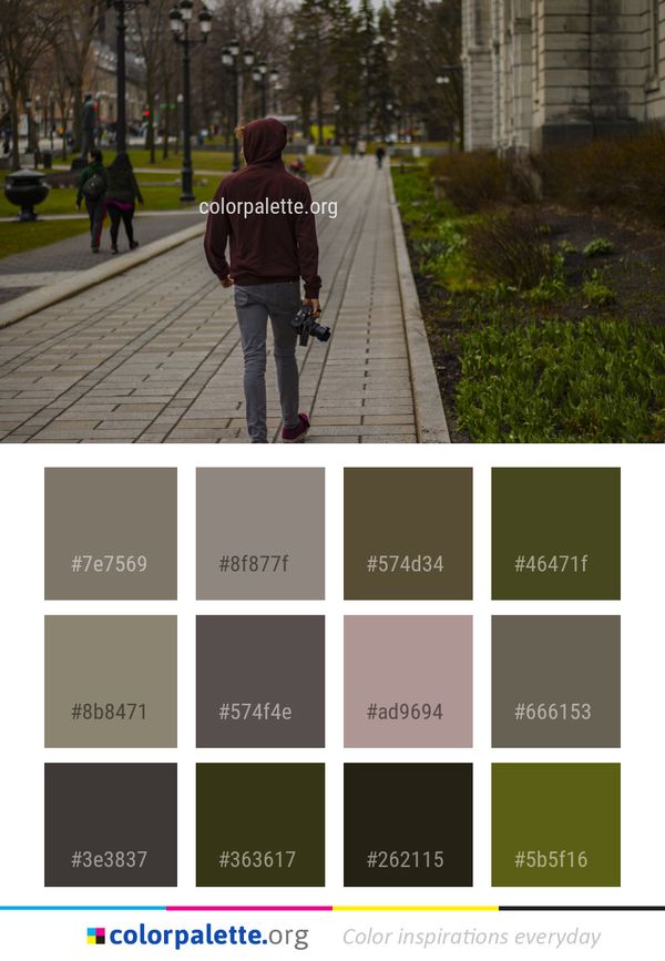 Tree Urban Area Road Color Palette