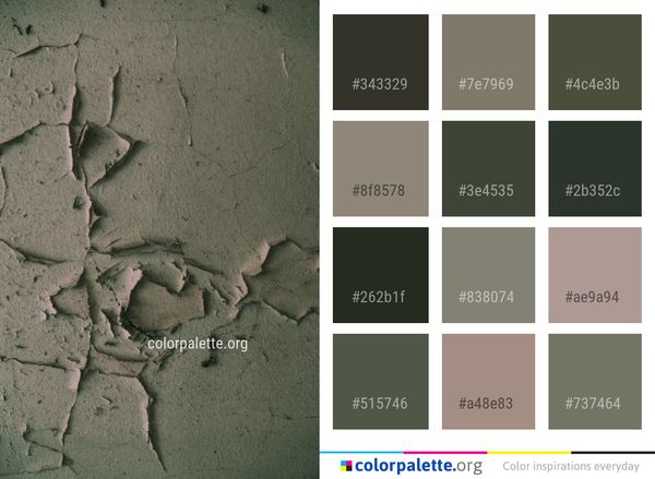Wall Soil Geology Color Palette