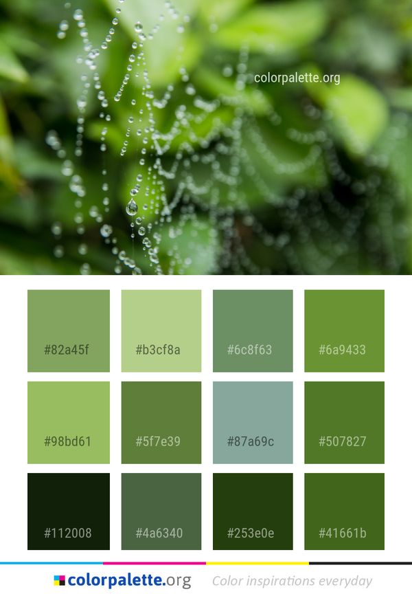 Water Dew Vegetation Color Palette