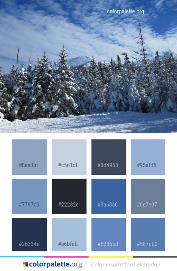 Winter Snow Tree Color Palette