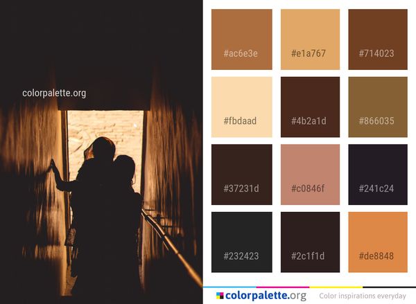 Darkness Light Silhouette Color Palette