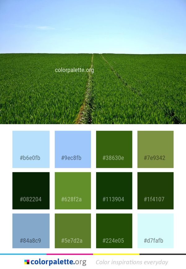 Grassland Field Agriculture Color Palette