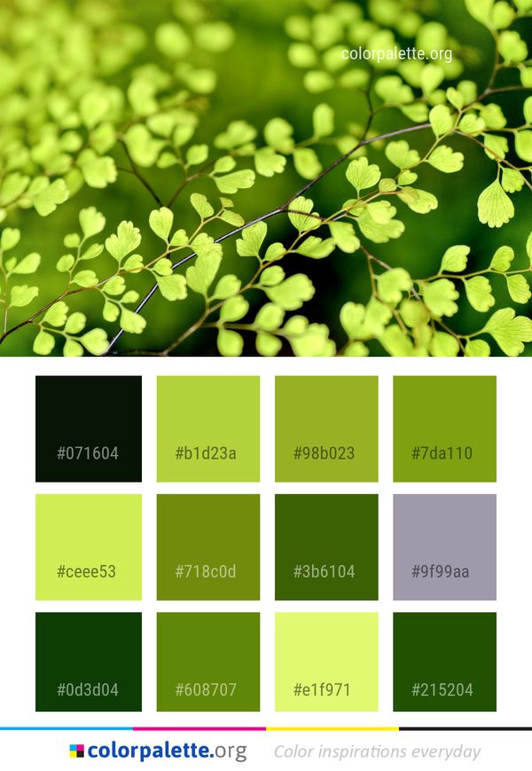 Green Leaf Vegetation Color Palette