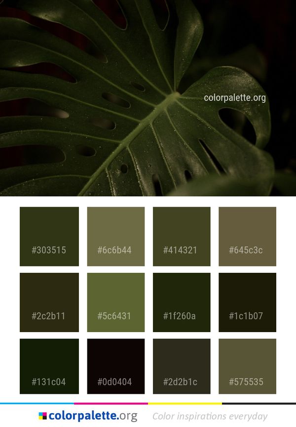 Green Leaf Water Color Palette