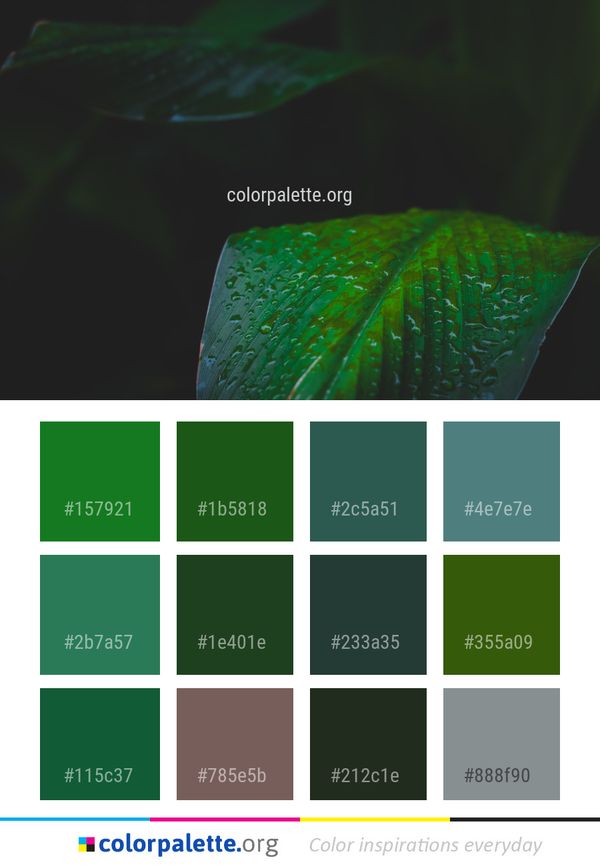 Green Water Macro Photography Color Palette