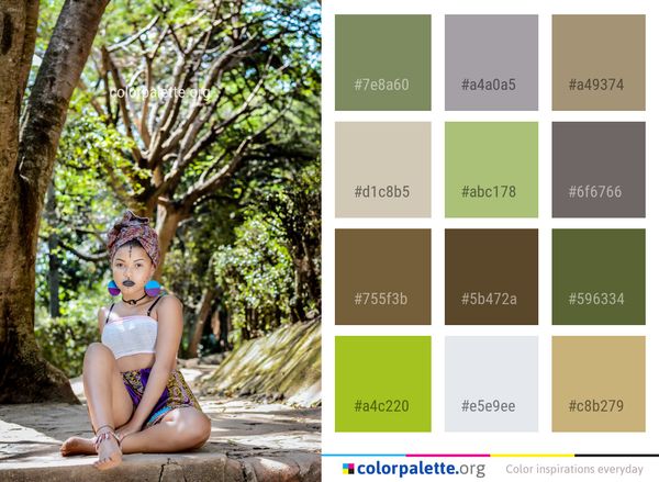 Nature Beauty Tree Color Palette