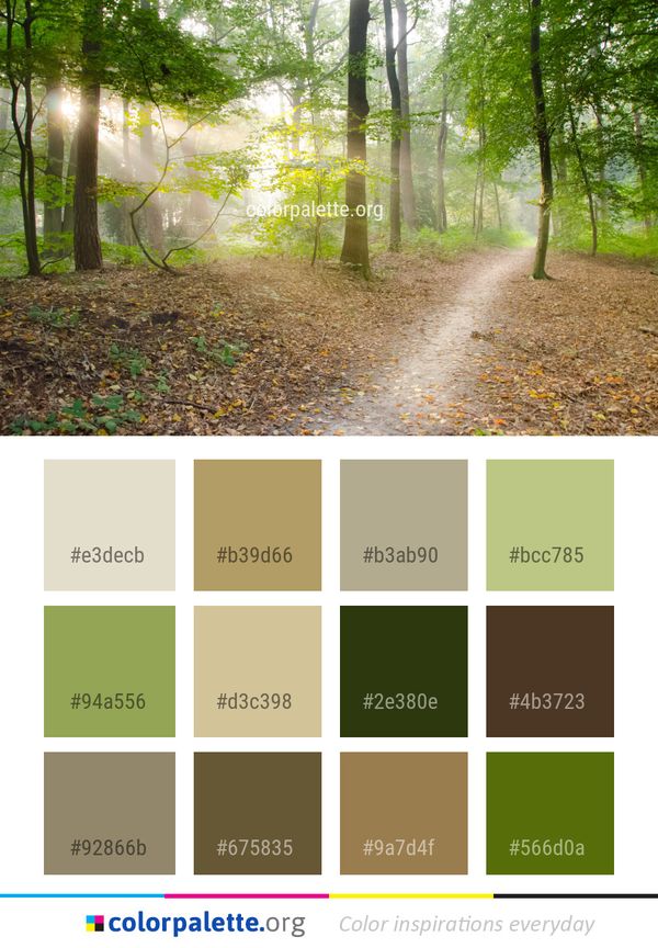 Nature Woodland Tree Color Palette