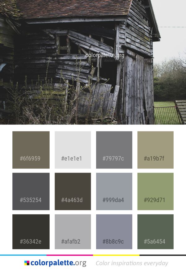 Shack House Log Cabin Color Palette