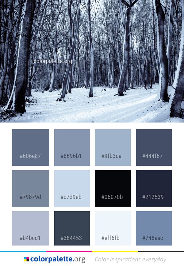 Snow Winter Tree Color Palette
