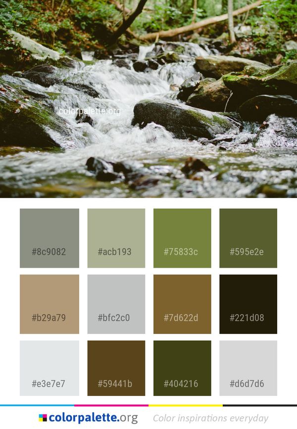 Stream Water Nature Color Palette
