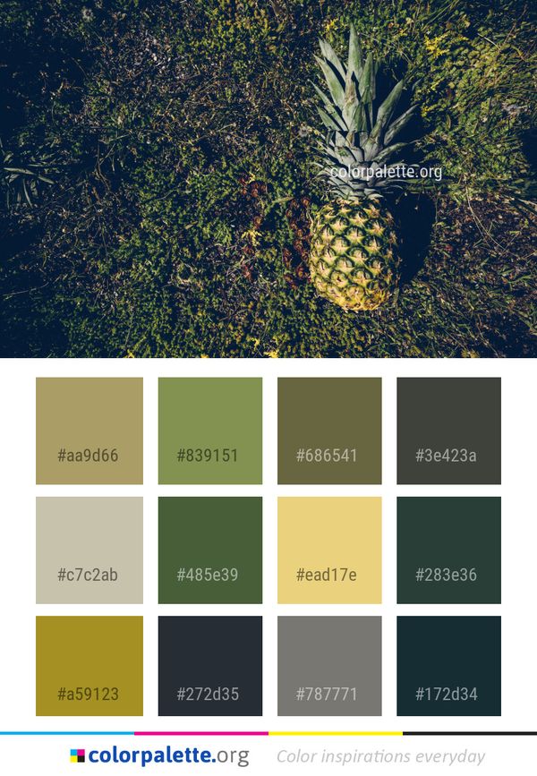 Vegetation Leaf Plant Color Palette