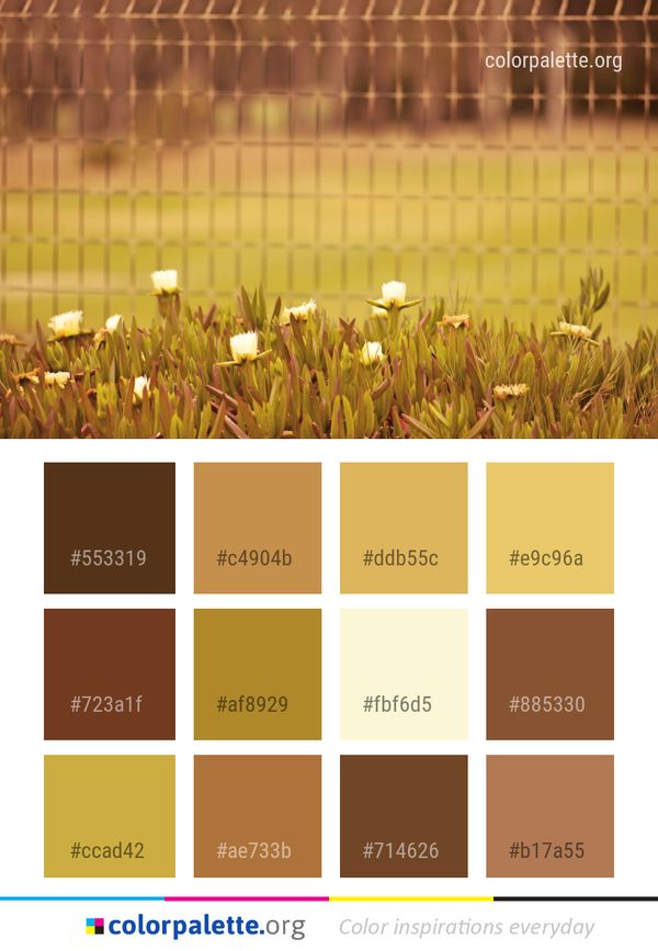 Yellow Grass Field Color Palette