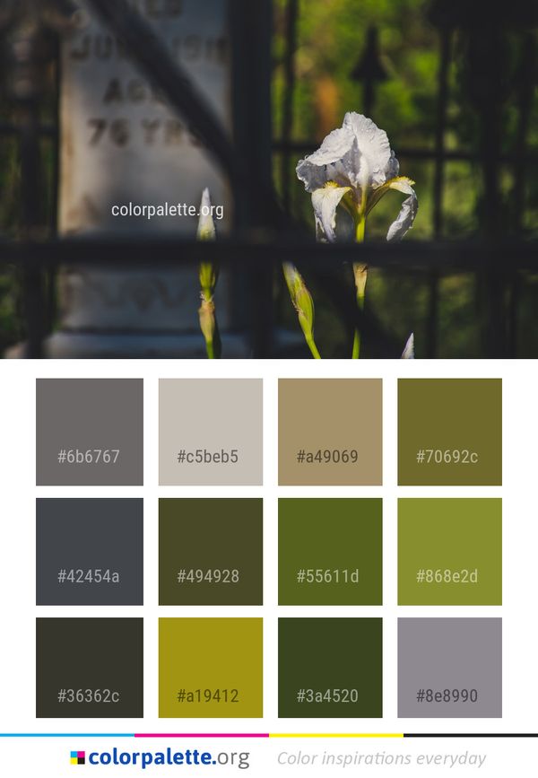 Flora Plant Flower Color Palette