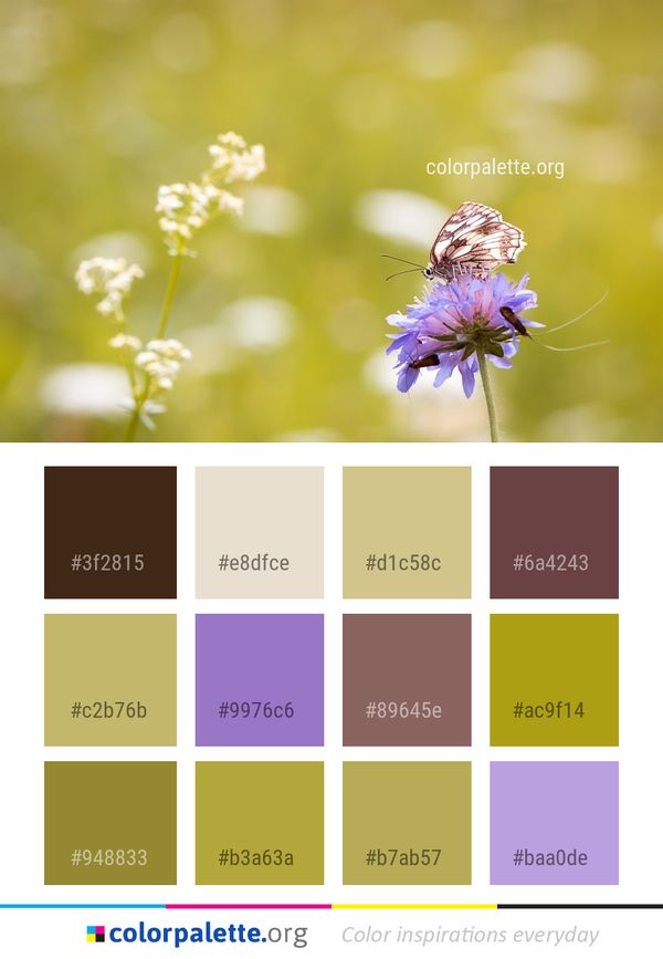 Flower Flora Close Up Color Palette